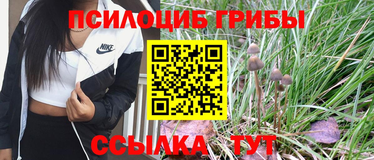 Карпинск  где продают   Вход с VPN  Галлюциногенные грибы Psilocybe 